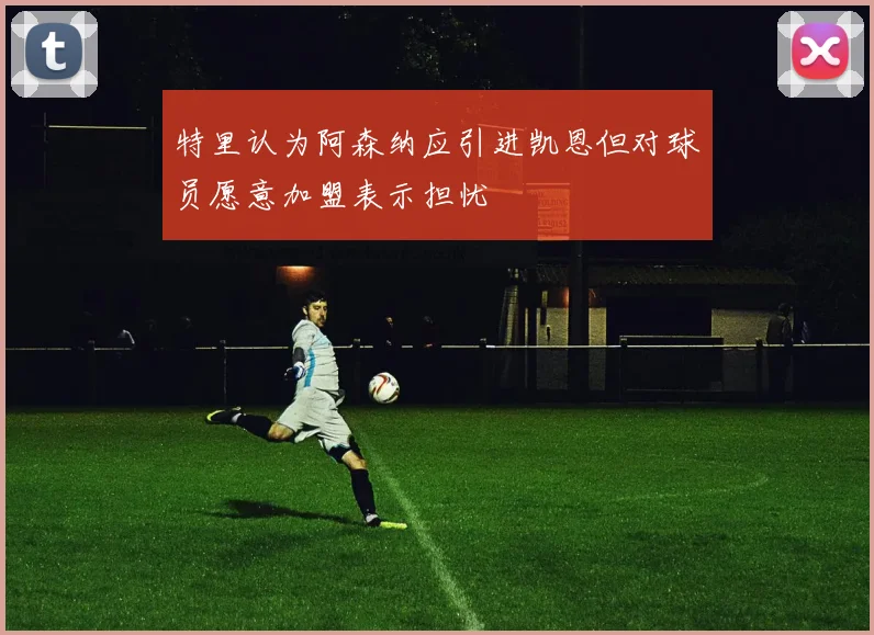 特里认为阿森纳应引进凯恩但对球员愿意加盟表示担忧